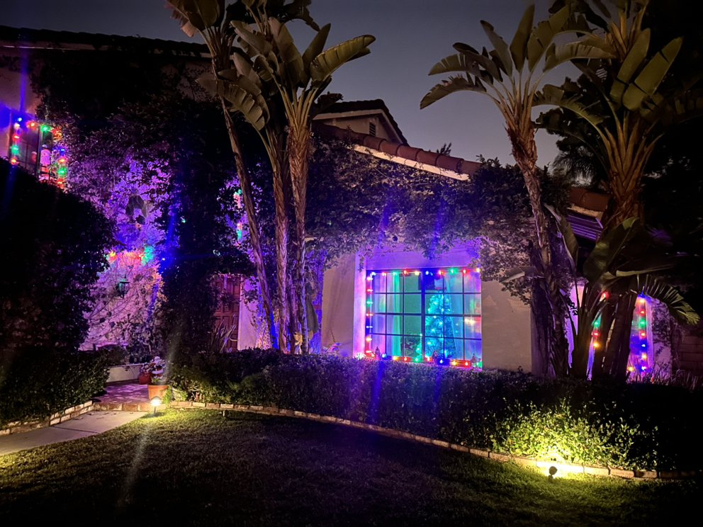 House at night decorated with multicolored lights, banana plants, hedges, and a lawn.