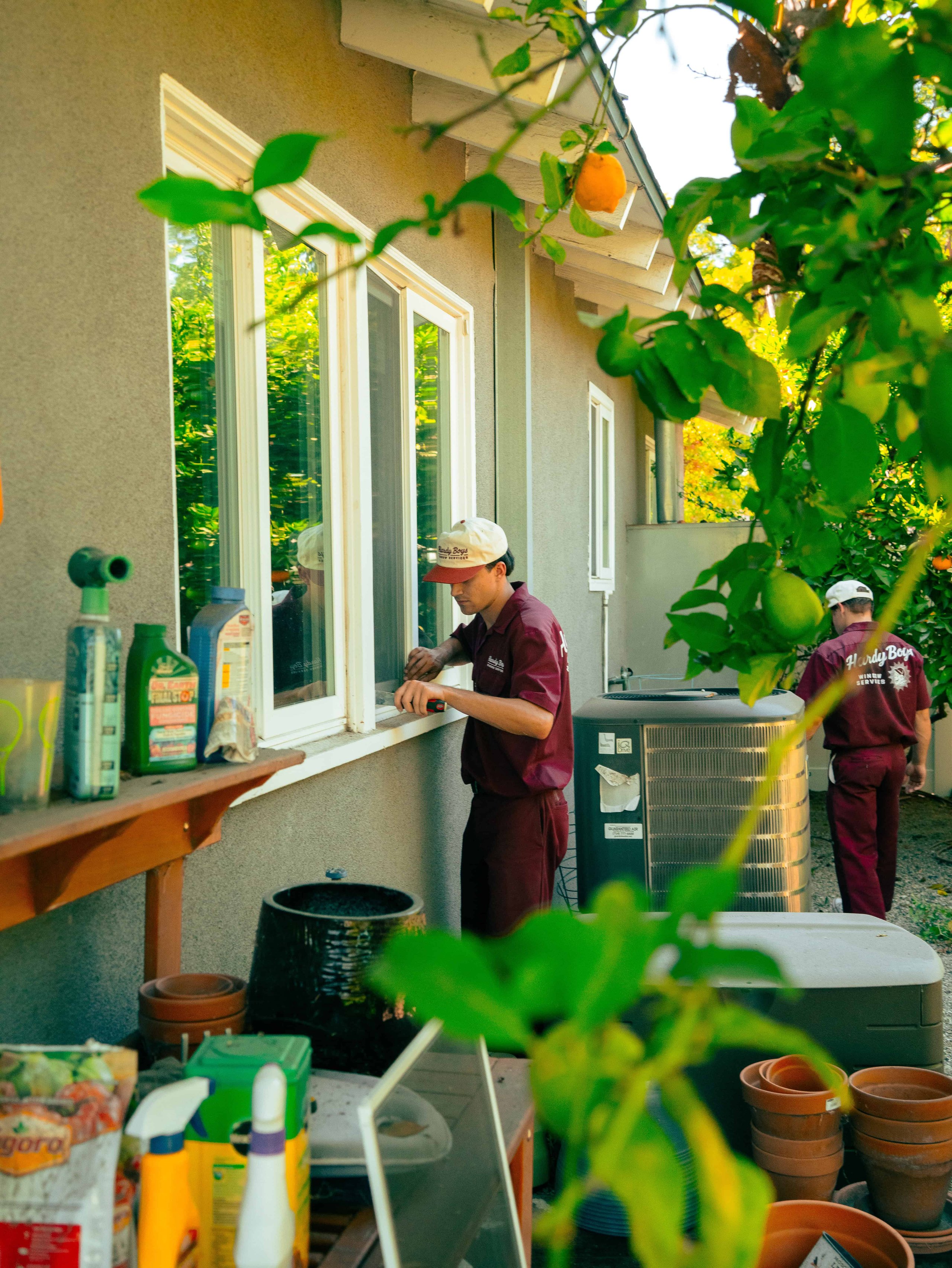 Worker in a maroon shirt and white cap behind a plant-obscured counter and windows.